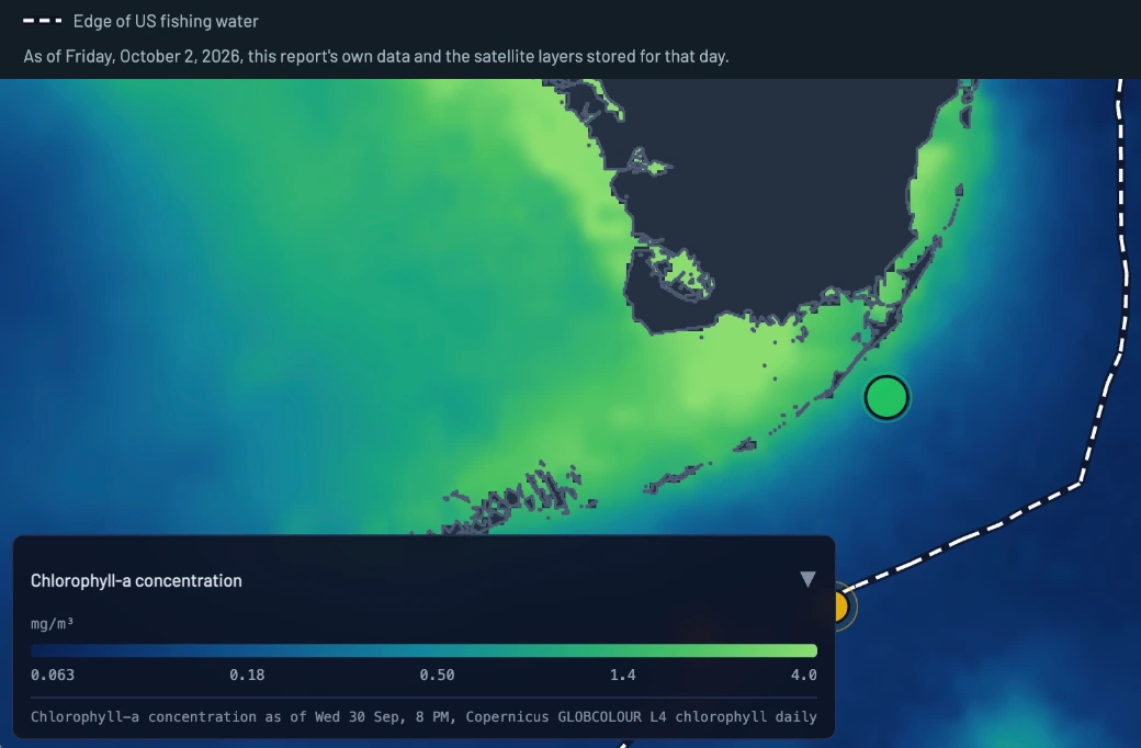 Chlorophyll map of the Florida Keys and the Straits of Florida, green near the Keys and the mainland shore fading to blue offshore.